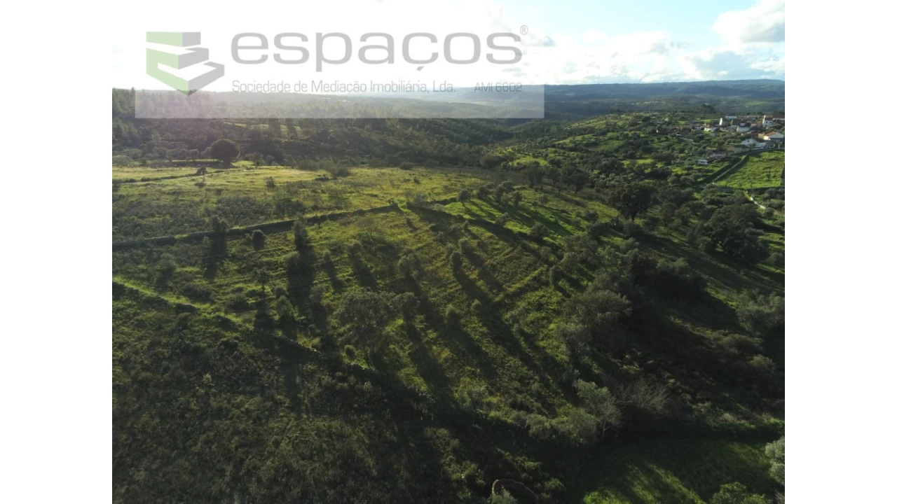 Terreno Agricola ou Rústico para Venda em Castelo Branco Foto 12