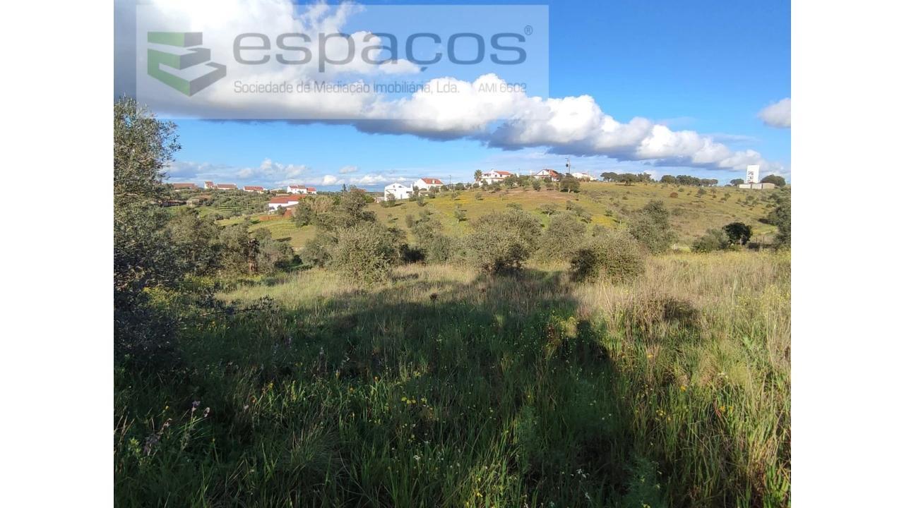 Terreno Agricola ou Rústico para Venda em Castelo Branco Foto 15