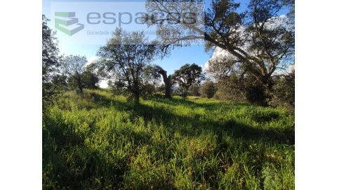 Terreno Agricola ou Rústico para Venda em Castelo Branco