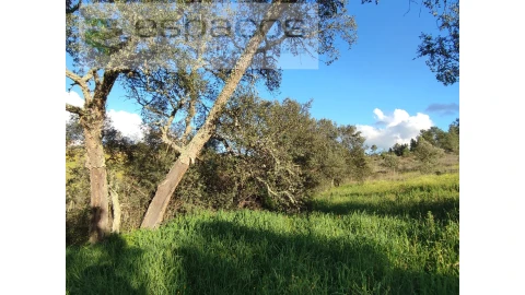 Terreno Agricola ou Rústico para Venda em Castelo Branco
