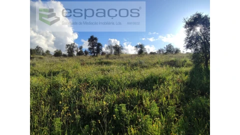 Terreno Agricola ou Rústico para Venda em Castelo Branco