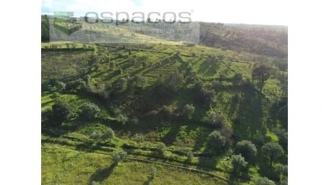 Terreno Agricola ou Rústico para Venda em Castelo Branco