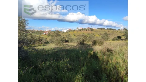 Terreno Agricola ou Rústico para Venda em Castelo Branco