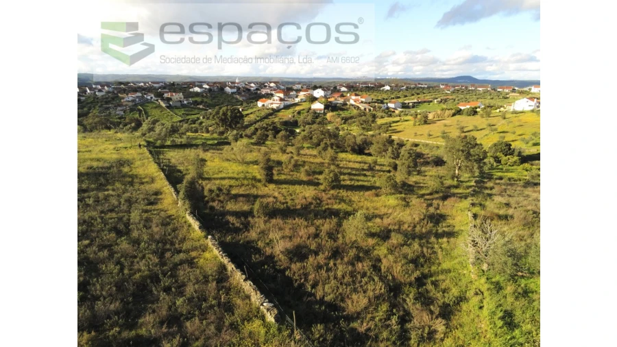 Terreno Agricola ou Rústico para Venda em Castelo Branco Foto 4