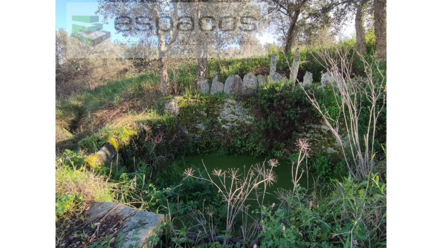 Terreno Agricola ou Rústico para Venda em Castelo Branco Foto 3