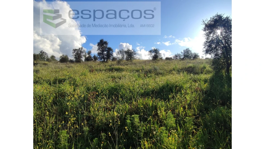 Terreno Agricola ou Rústico para Venda em Castelo Branco Foto 2