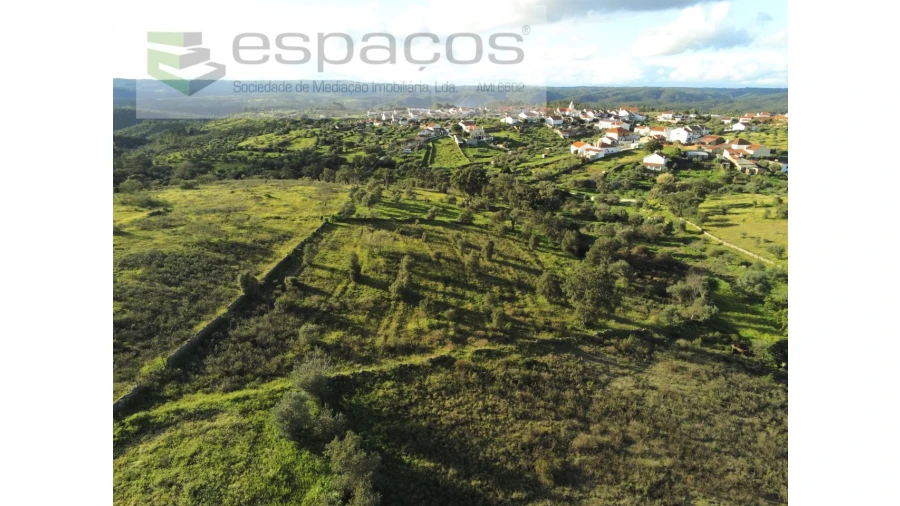 Terreno Agricola ou Rústico para Venda em Castelo Branco Foto 13