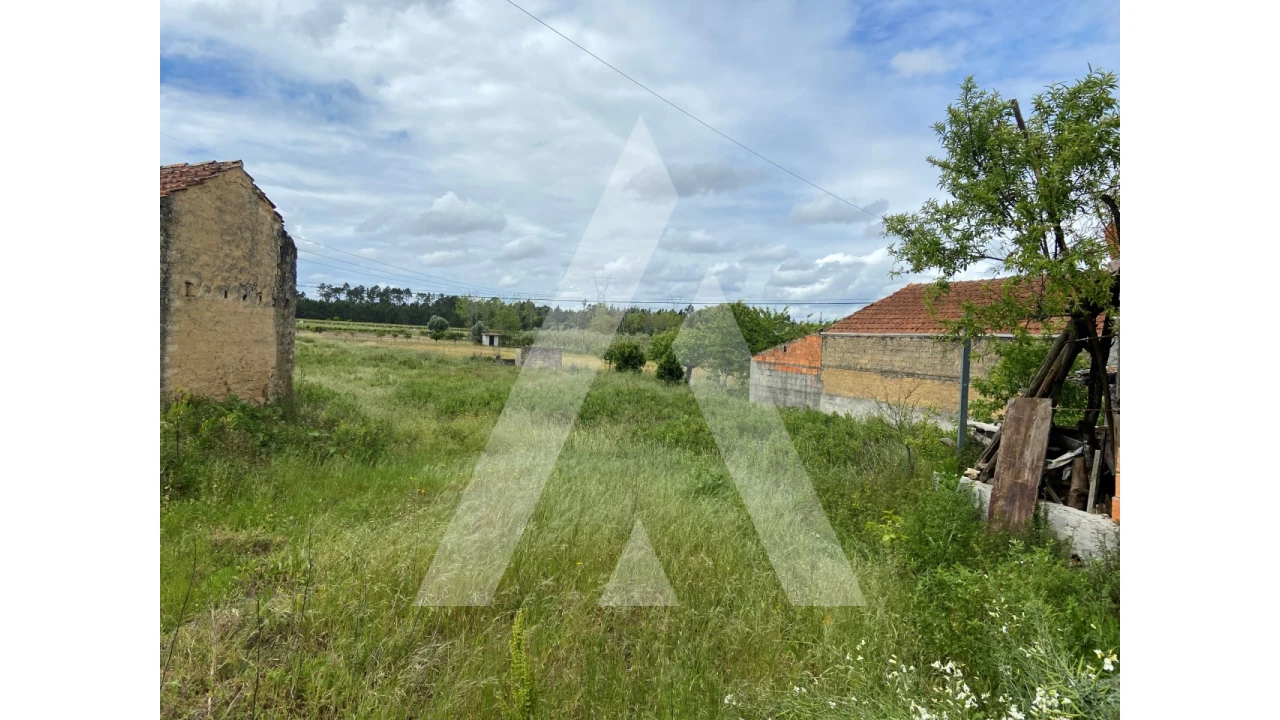 Terreno para Venda em São Lourenço do Bairro Foto 2