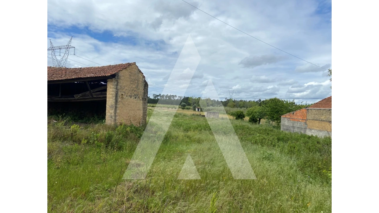 Terreno para Venda em São Lourenço do Bairro Foto 3