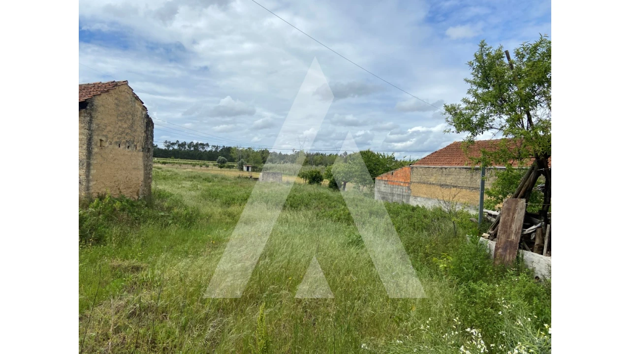 Terreno para Venda em São Lourenço do Bairro Foto 1