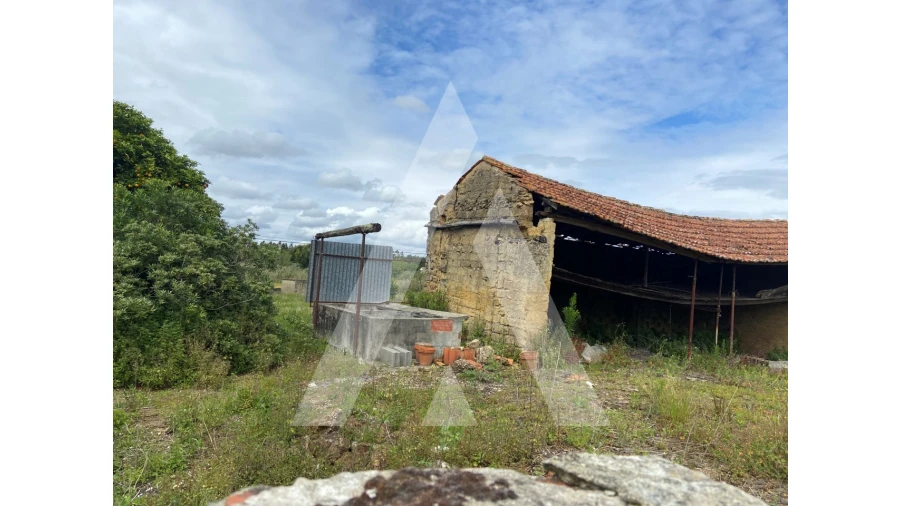 Terreno para Venda em São Lourenço do Bairro Foto 5