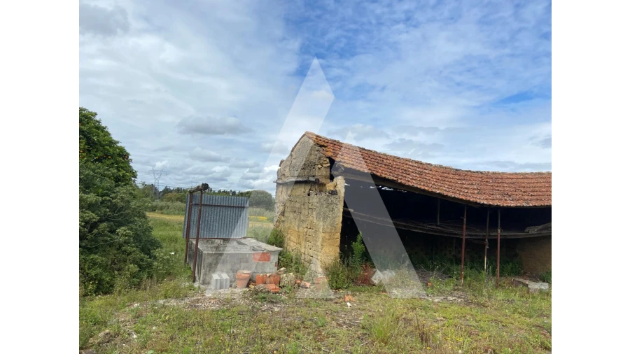 Terreno para Venda em São Lourenço do Bairro Foto 6