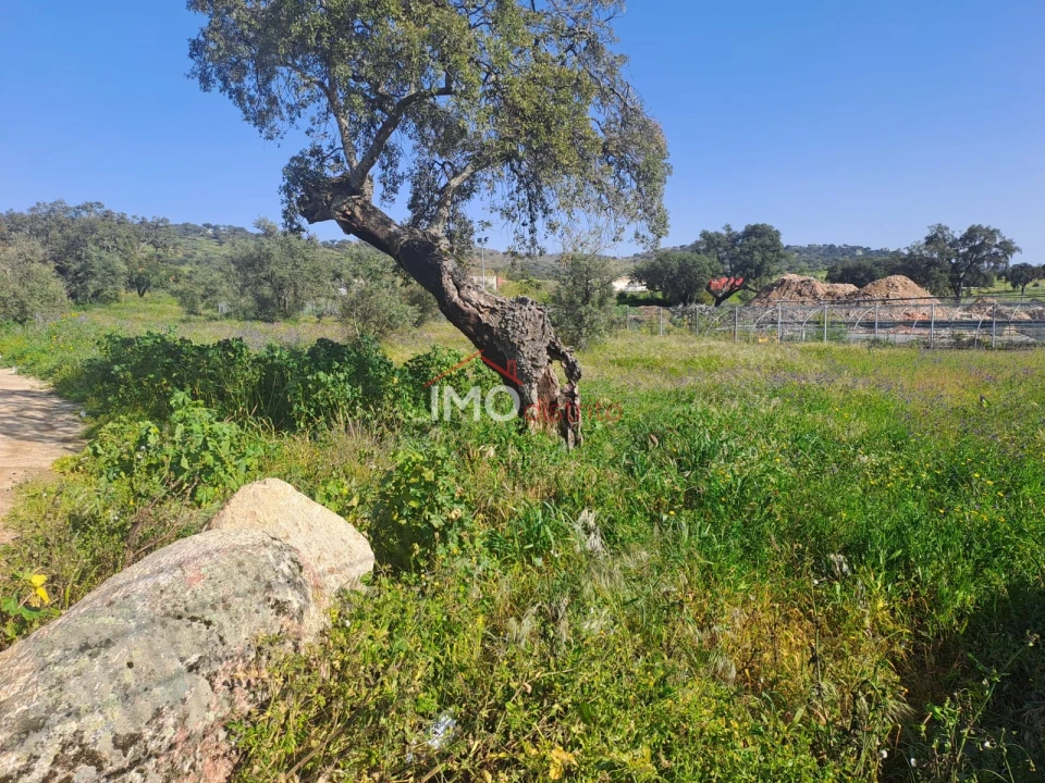 Terreno para Venda em Sé e São Lourenço Foto 7