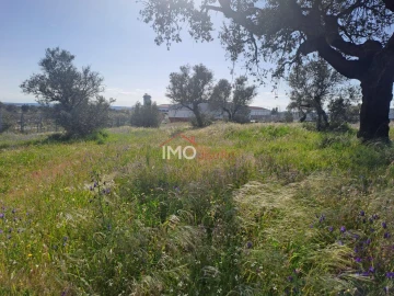 Terreno para Venda em Sé e São Lourenço