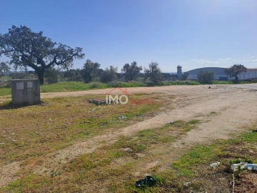 Terreno para Venda em Sé e São Lourenço