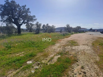 Terreno para Venda em Sé e São Lourenço