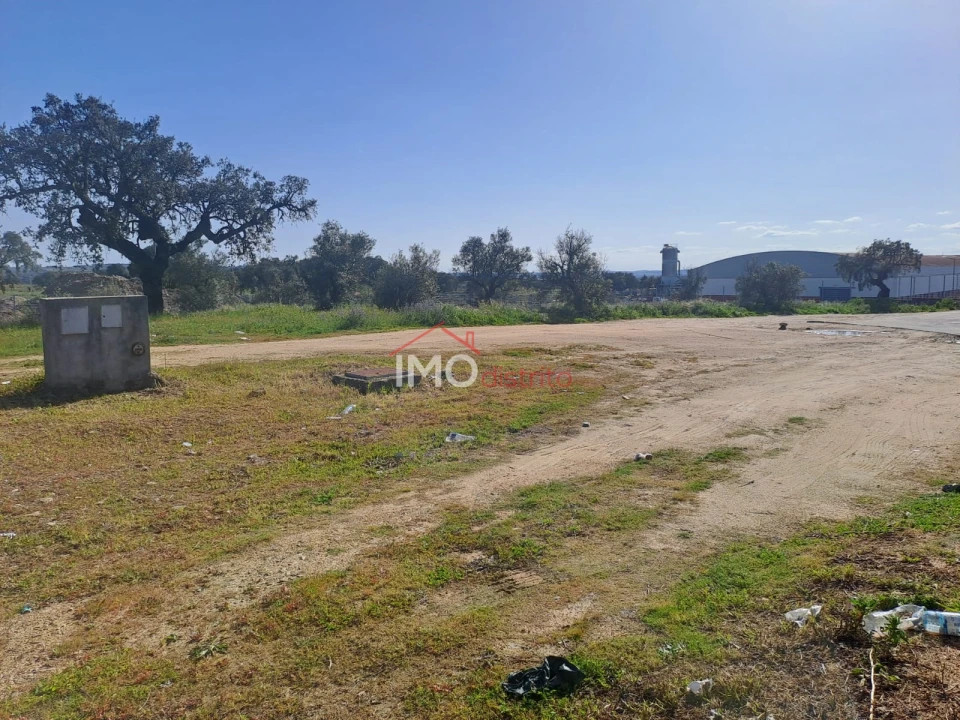 Terreno para Venda em Sé e São Lourenço Foto 3