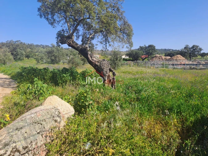 Terreno para Venda em Sé e São Lourenço Foto 7