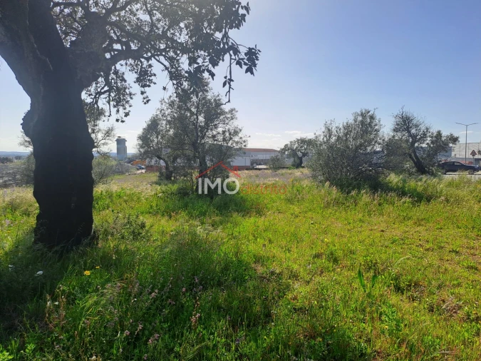 Terreno para Venda em Sé e São Lourenço Foto 2