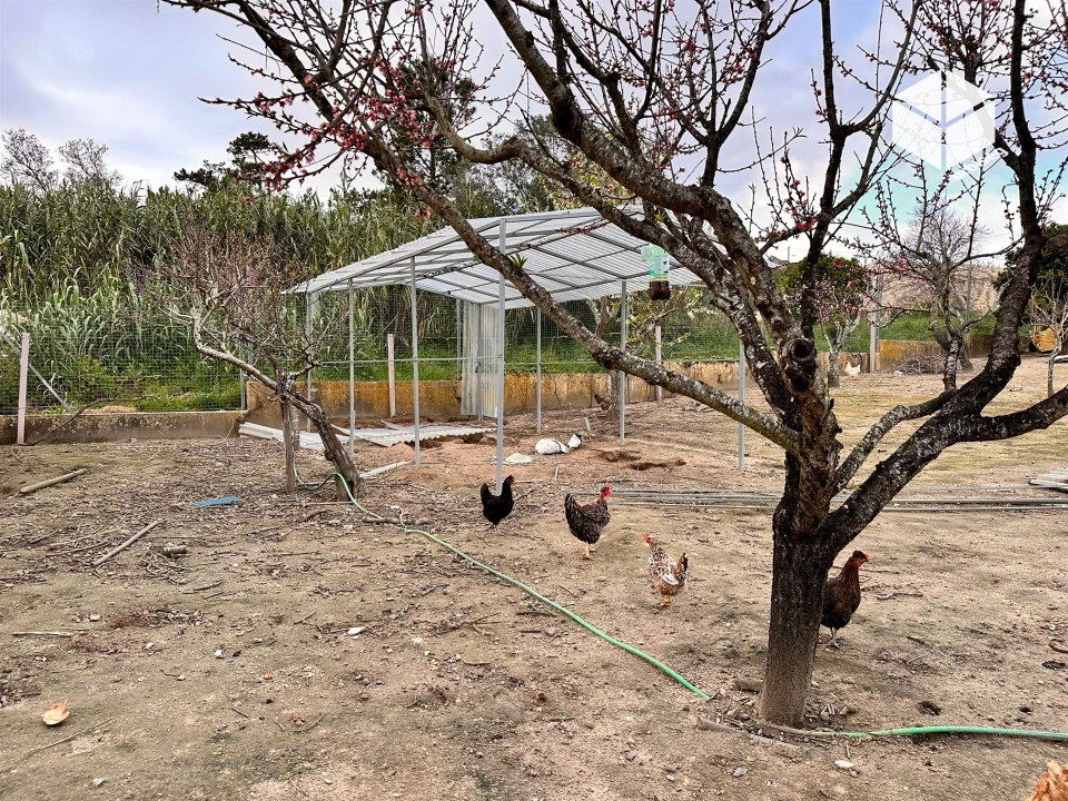 Moradia T4 para Venda em Tavarede Foto 52