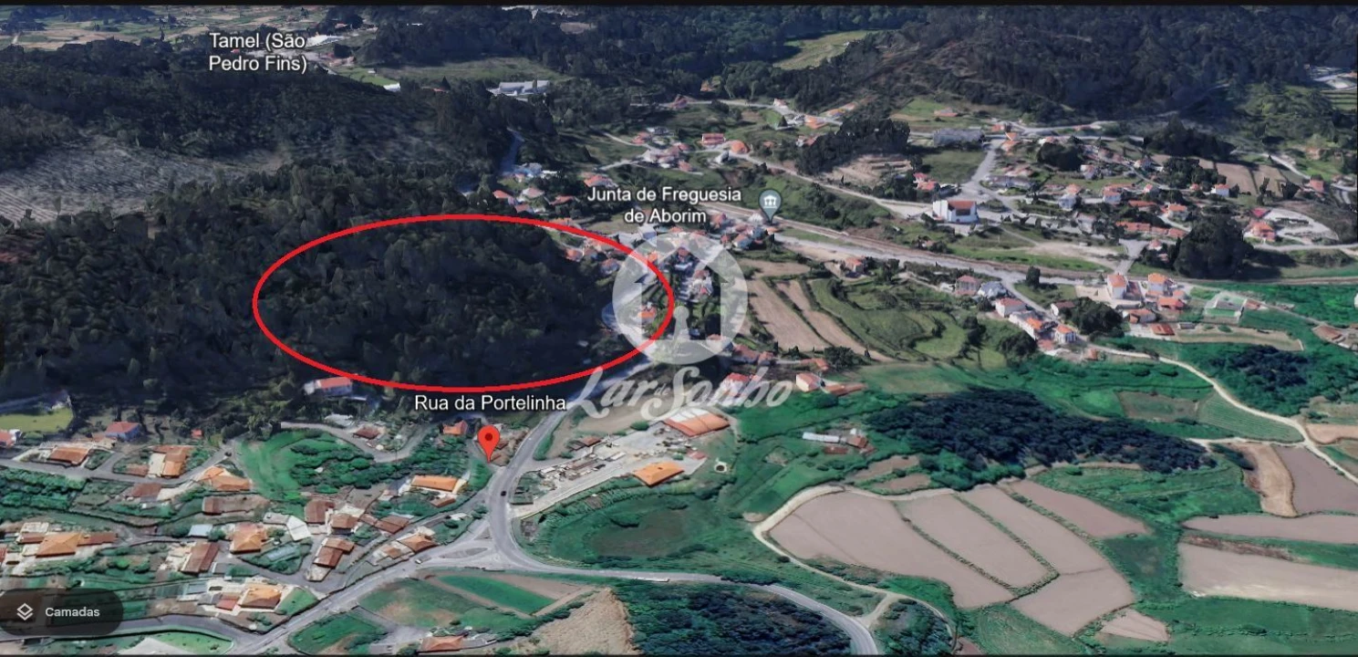 Terreno Agricola ou Rústico para Venda em Campo e Tamel (São Pedro Fins) Foto 7