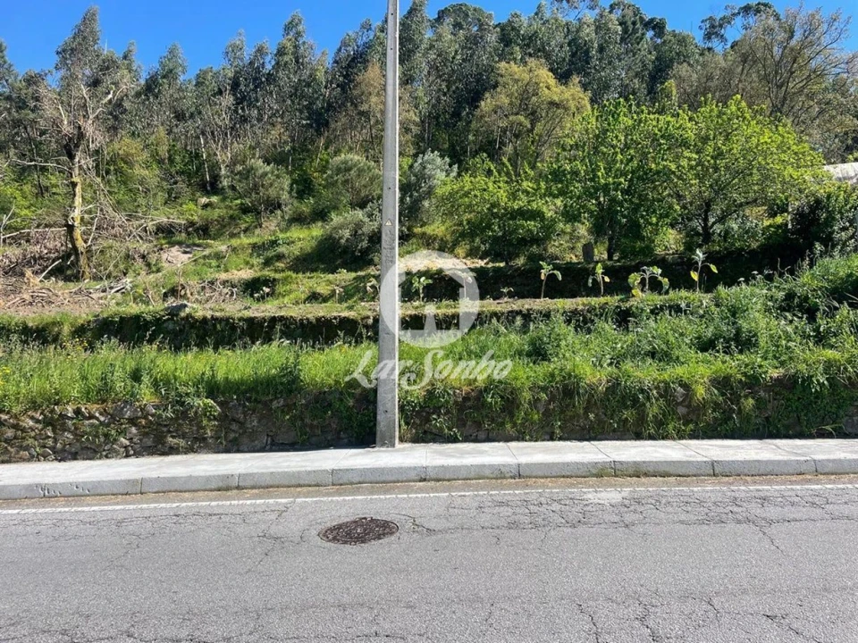 Terreno Agricola ou Rústico para Venda em Campo e Tamel (São Pedro Fins) Foto 1