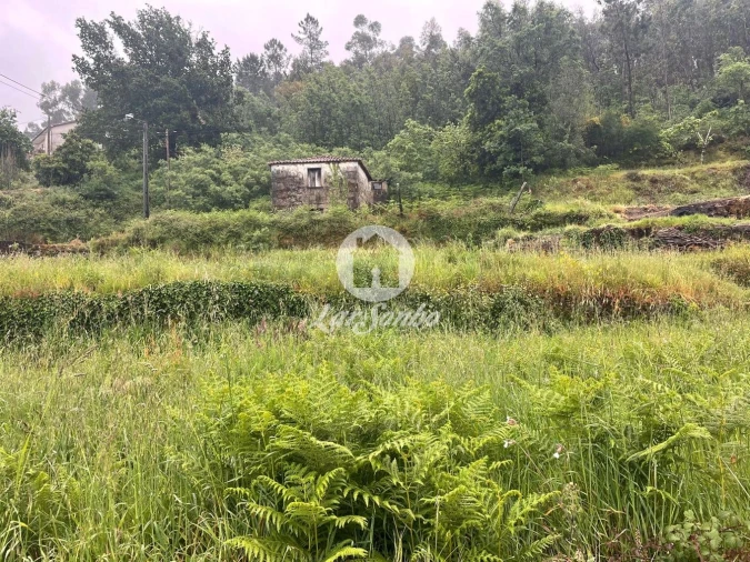 Terreno Agricola ou Rústico para Venda em Campo e Tamel (São Pedro Fins) Foto 2
