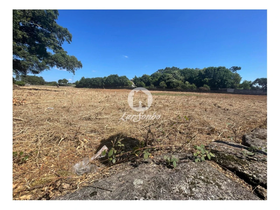 Terreno Agricola ou Rústico para Venda em Alvelos Foto 4