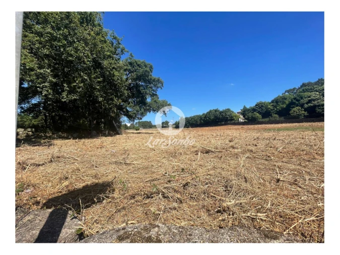 Terreno Agricola ou Rústico para Venda em Alvelos Foto 1