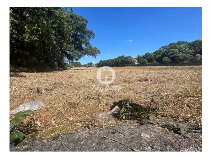 Terreno Agricola ou Rústico para Venda em Alvelos Foto 2