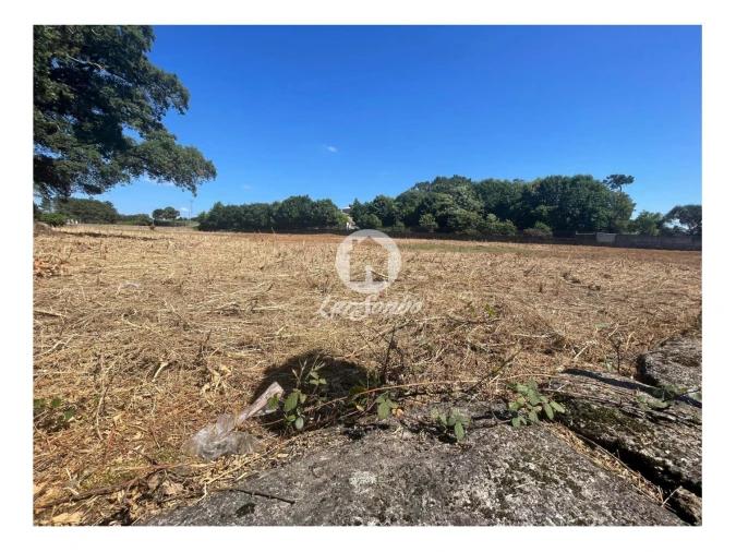 Terreno Agricola ou Rústico para Venda em Alvelos Foto 4