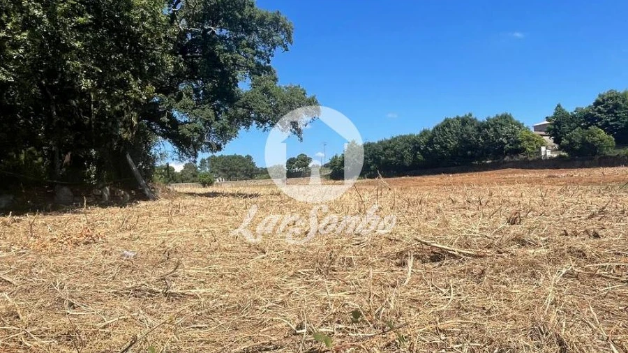 Terreno Agricola ou Rústico para Venda em Alvelos