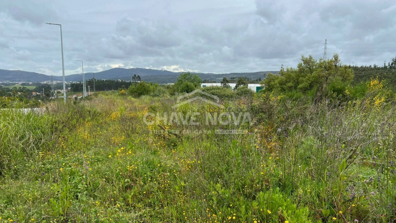 Terreno Misto para Venda em Gandra Foto 8