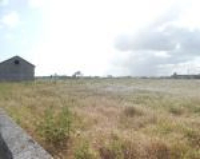 Terreno Misto para Venda em Montijo e Afonsoeiro Foto 4