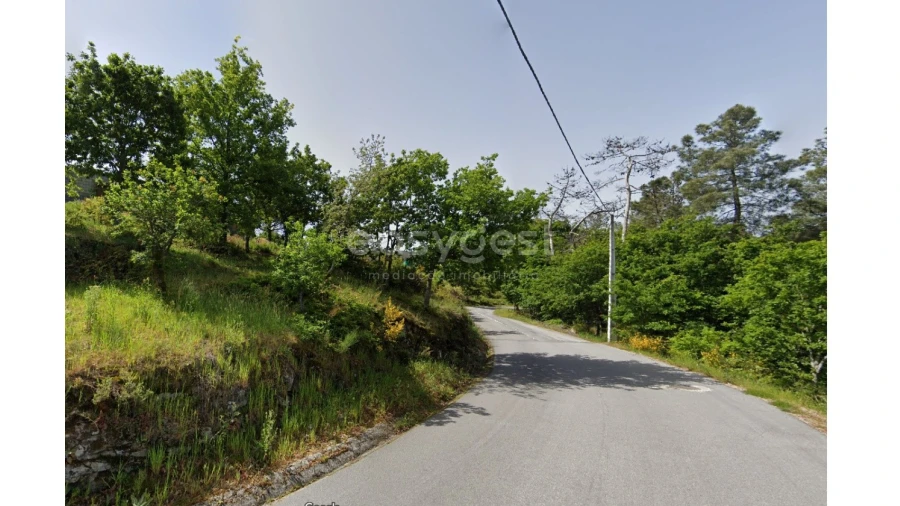 Terreno para Venda em Cambra e Carvalhal de Vermilhas Foto 5