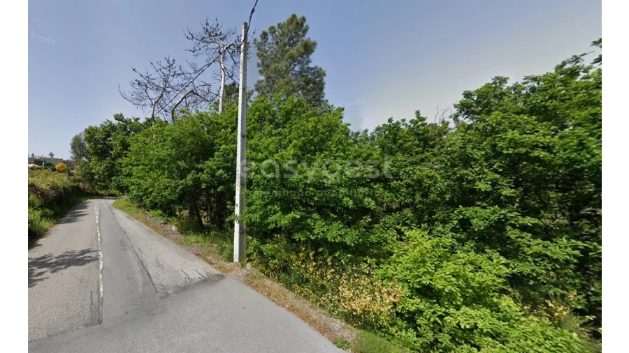 Terreno para Venda em Cambra e Carvalhal de Vermilhas Foto 6