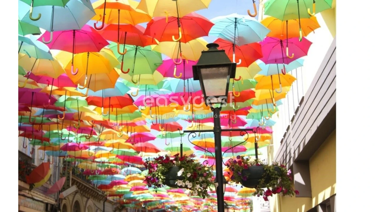 Loja para Venda em Águeda e Borralha Foto 10
