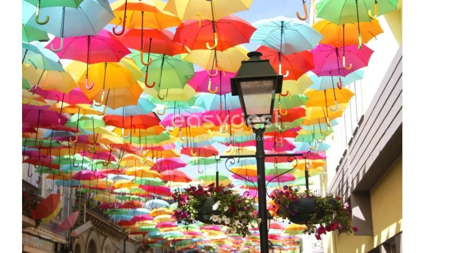 Loja para Venda em Águeda e Borralha Foto 10