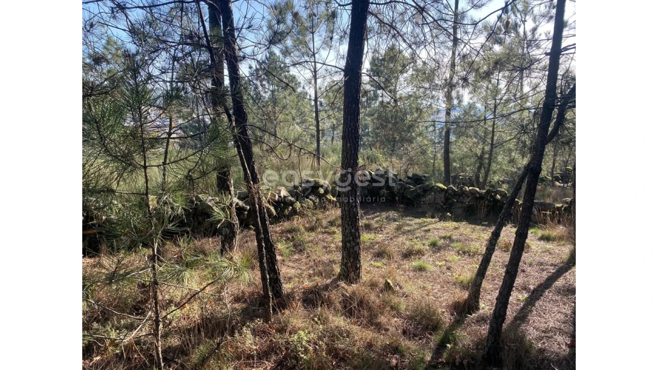 Terreno para Venda em Abraveses Foto 25