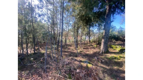 Terreno para Venda em Abraveses
