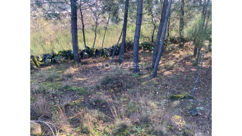 Terreno para Venda em Abraveses
