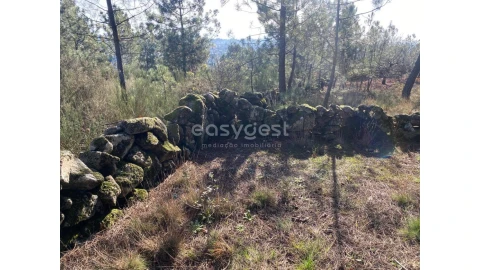 Terreno para Venda em Abraveses