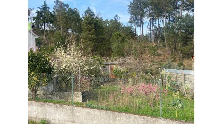 Terreno para Venda em Abraveses Foto 2