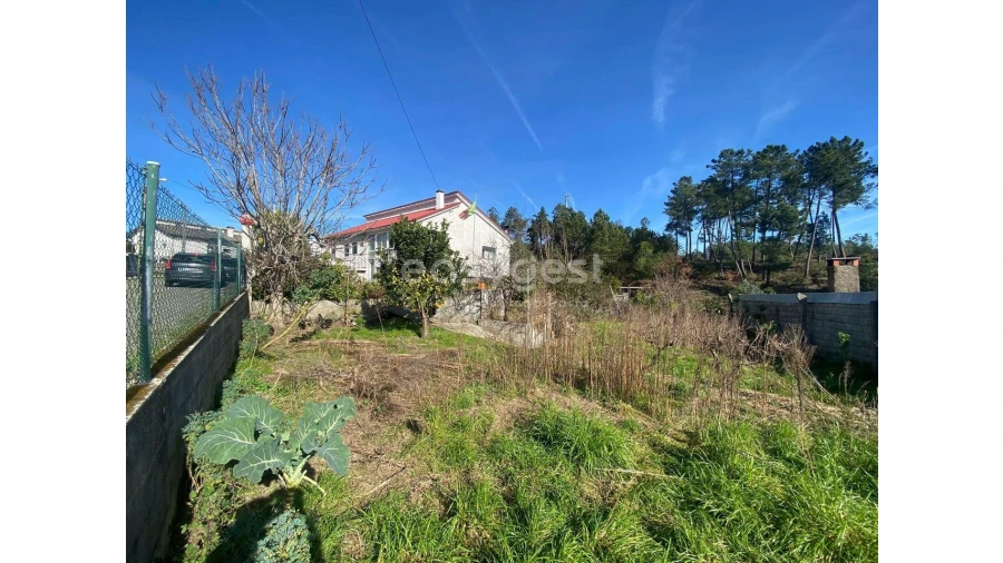 Terreno para Venda em Abraveses Foto 5