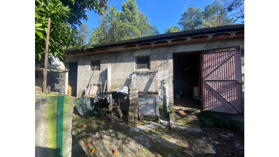 Terreno para Venda em Abraveses Foto 12