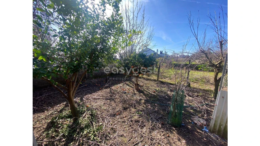 Terreno para Venda em Abraveses Foto 13