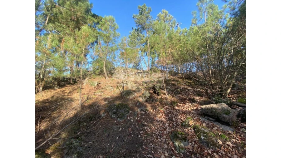 Terreno para Venda em Abraveses Foto 19