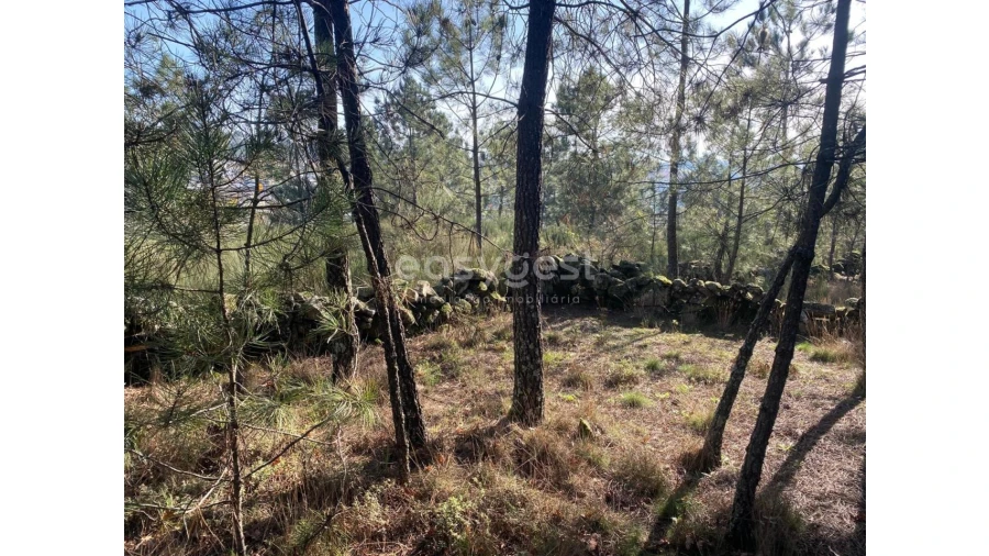 Terreno para Venda em Abraveses Foto 25