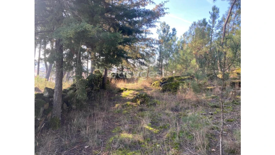 Terreno para Venda em Abraveses Foto 27