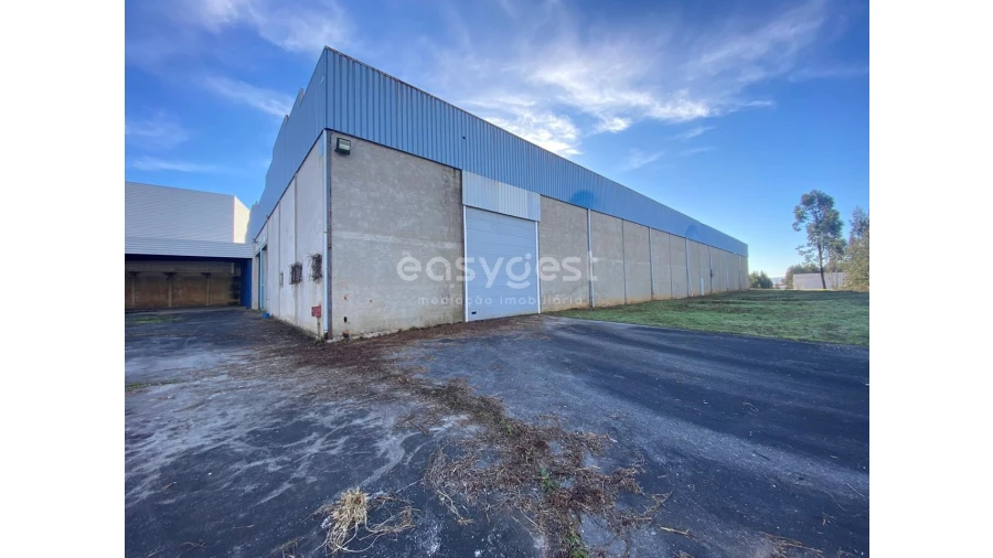 Armazém para Venda em Barrô e Aguada de Baixo Foto 4